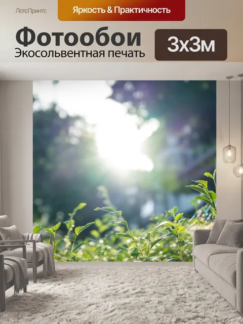 Фотообои Лес