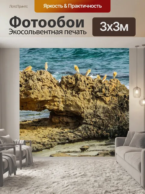 Фотообои Морские птицы