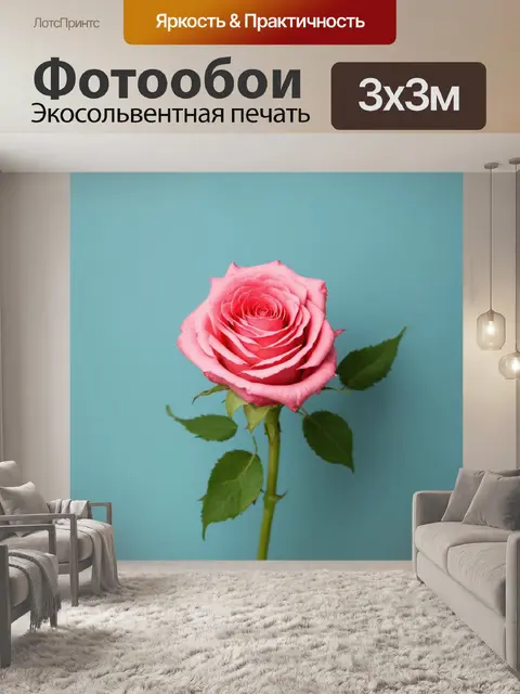 Фотообои розы в стиле минимализм