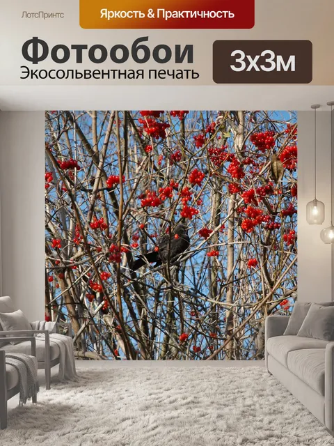 Фотообои Птица