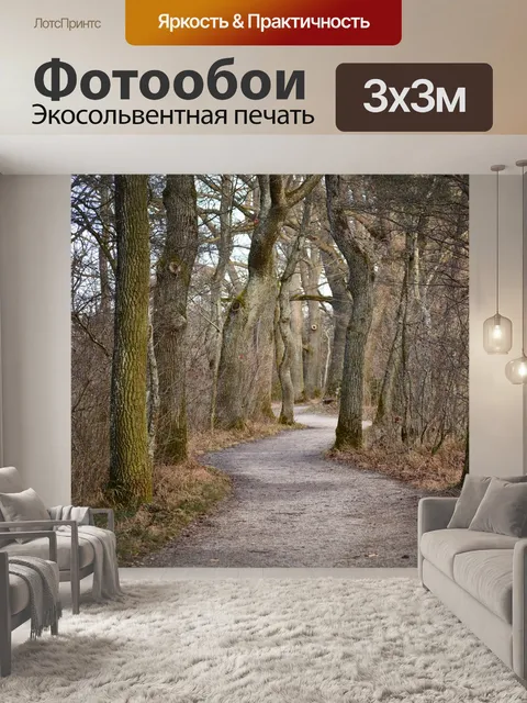 Фотообои Дорожка