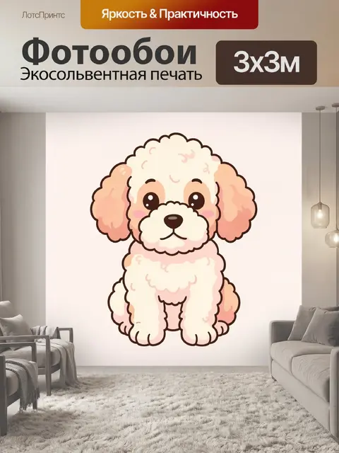 Фотообои Кудрявый пудель с милой мордочкой
