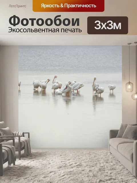 Фотообои Розовый пеликан Птицы во Флориде