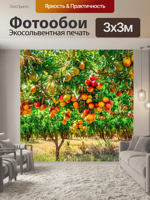 Фотообои тропики, тропическая ферма с фруктами, лучшие фрукты на деревьях, полное слияние с природой, детская радость…