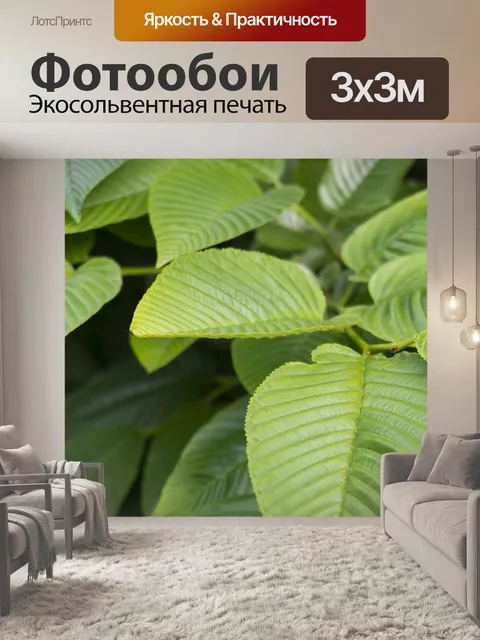 Фотообои Литья