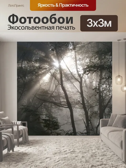 Фотообои Лес