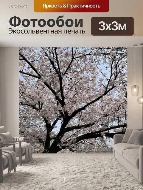 Фотообои Вишневое дерево