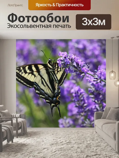Фотообои Парусники бабочки