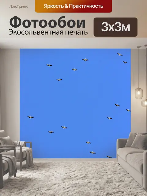 Фотообои Аист