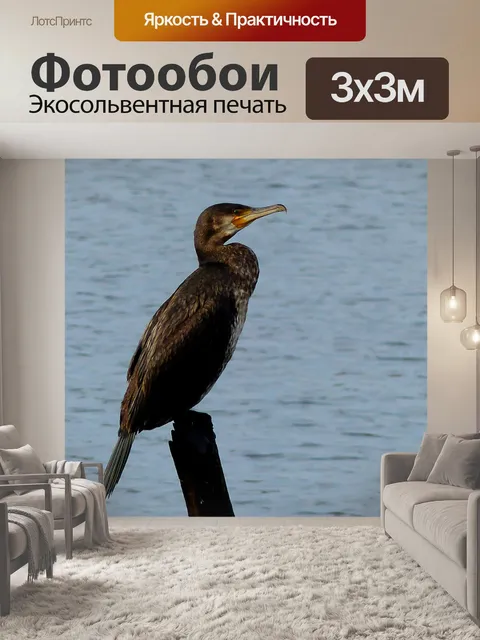 Фотообои Птицы