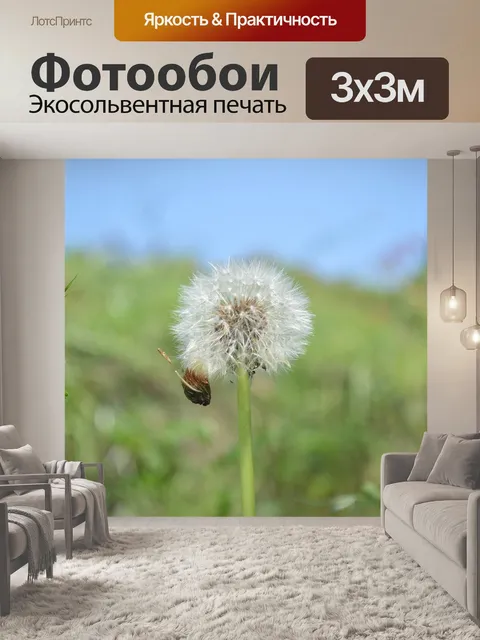 Фотообои Одуванчик