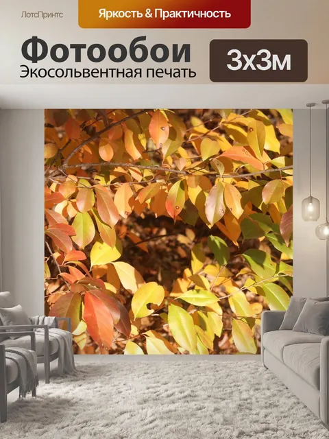 Фотообои Падение