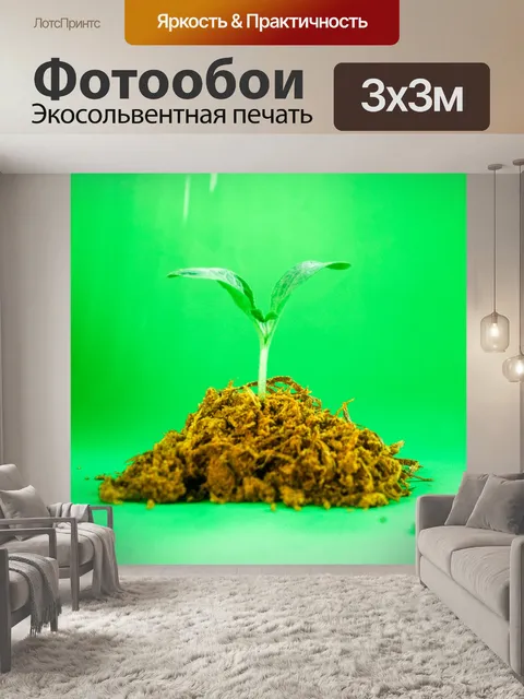 Фотообои Молодой завод деревьев