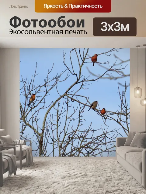 Фотообои Певчие птицы