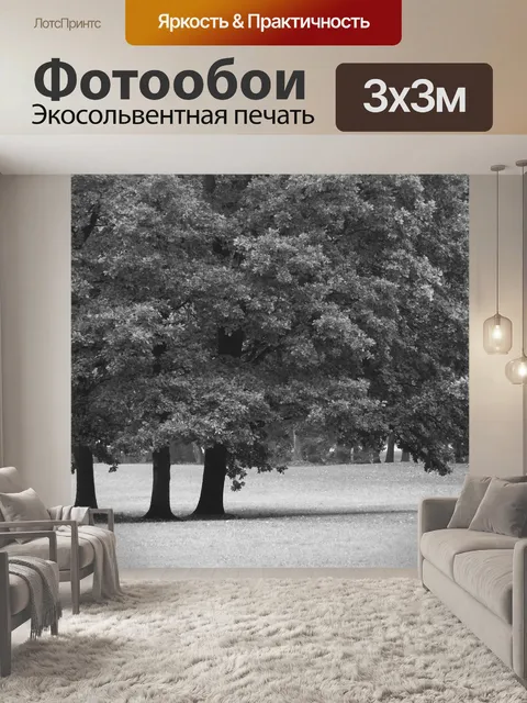 Фотообои Деревья в парке