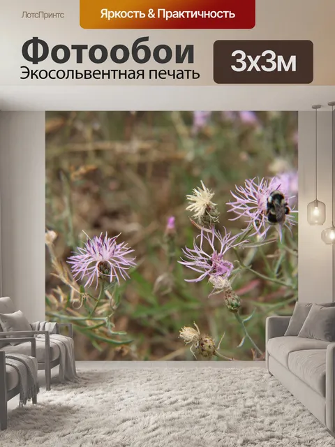 Фотообои Цветы