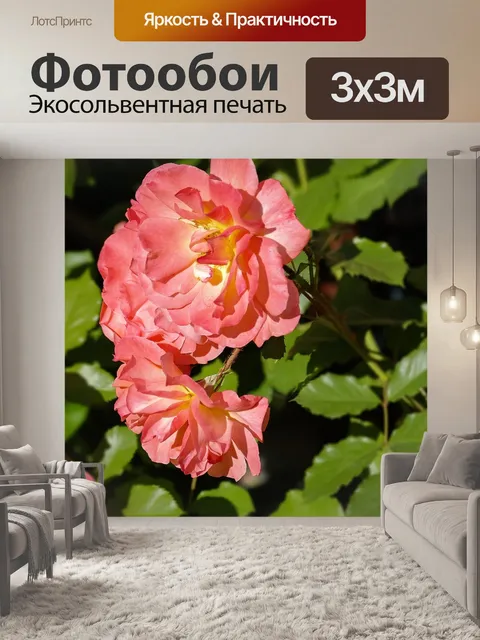 Фотообои Цветы