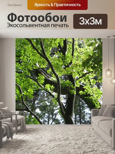 Фотообои Бук