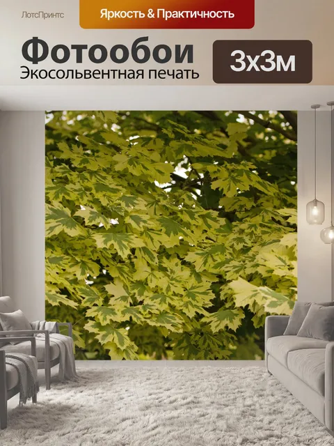 Фотообои Лист фон Текстура