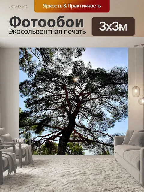 Фотообои Деревья