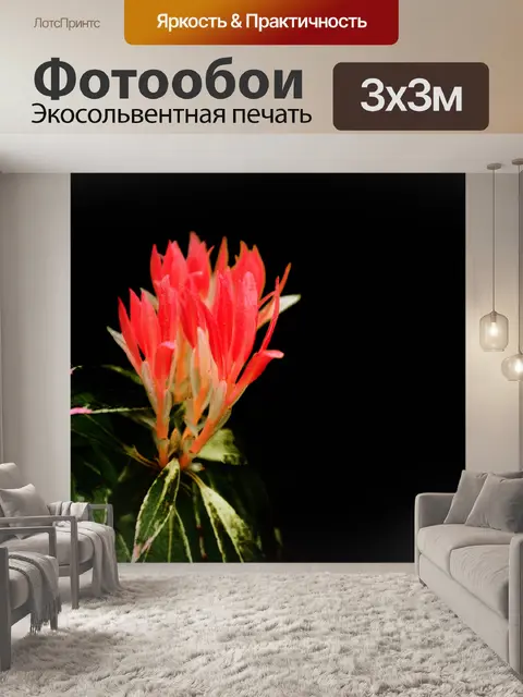 Фотообои Ницца цветов