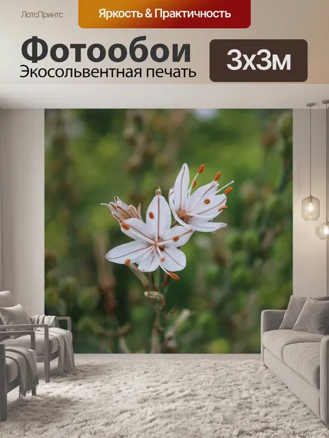 Фотообои Цветы