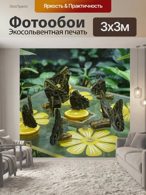 Фотообои Бабочки