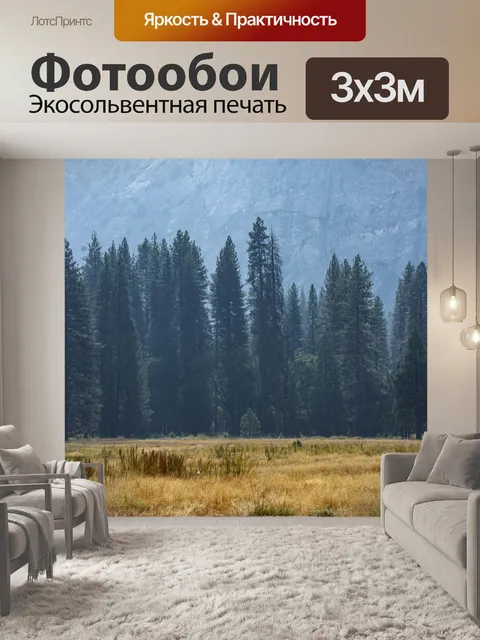 Фотообои Ряд сосен