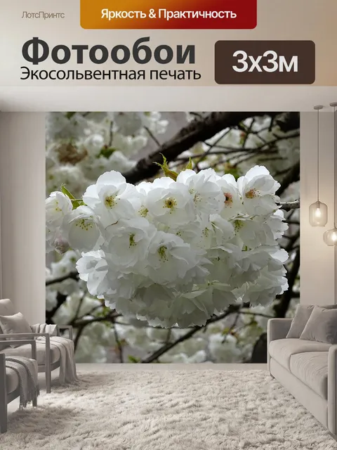 Фотообои Белое цветущее вишневое дерево