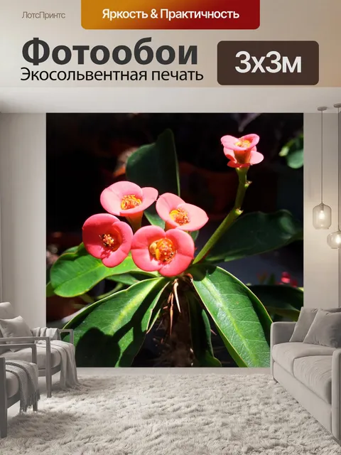 Фотообои Цветы