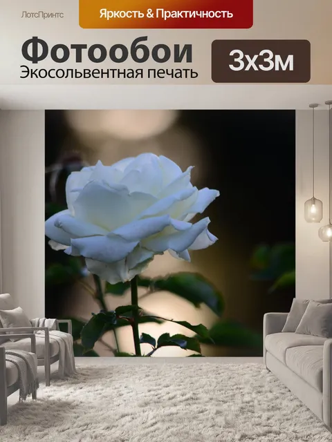 Фотообои Вечер