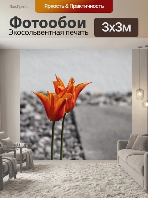 Фотообои Тюльпаны
