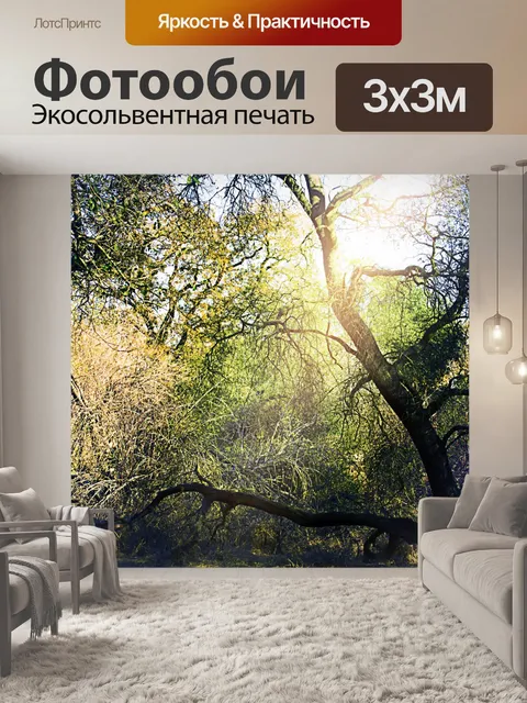 Фотообои В центре внимания в лесу