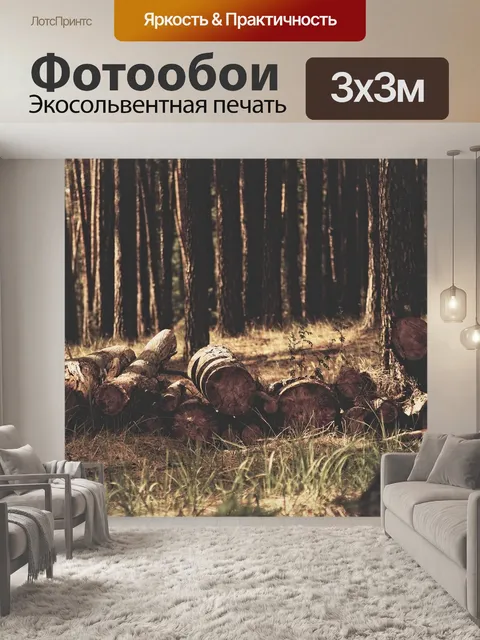 Фотообои Стволы деревьев
