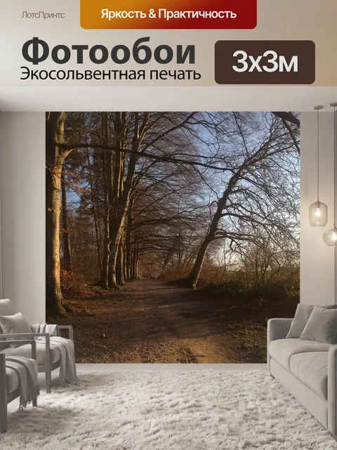Фотообои Лес