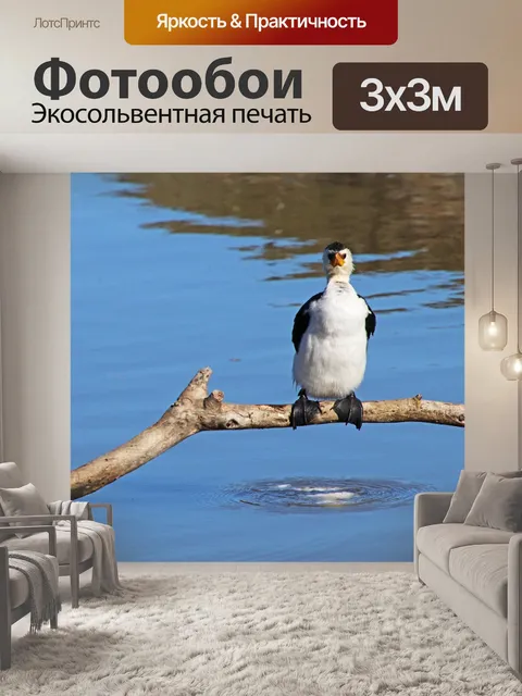 Фотообои Птица