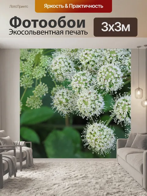 Фотообои Свежесть
