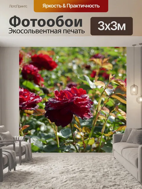 Фотообои Розы