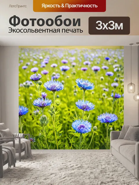 Фотообои васильки в поле, где каждый цветок - это музыкальная нота, создающая полную симфонию природы