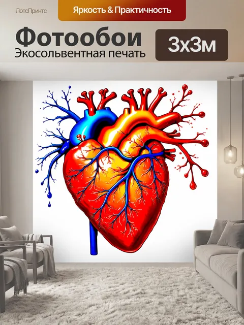 Фотообои иллюстрация органов сердца в стиле импрессионизма