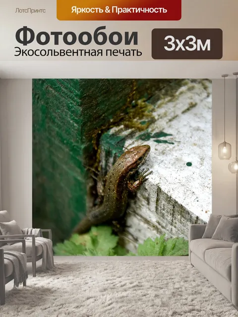 Фотообои Природа