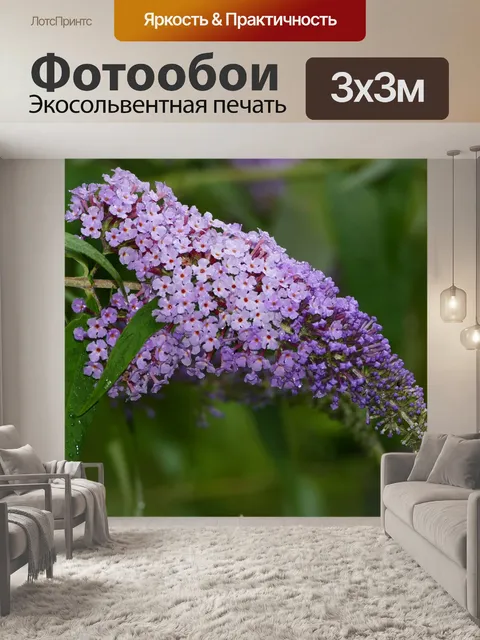 Фотообои Природа