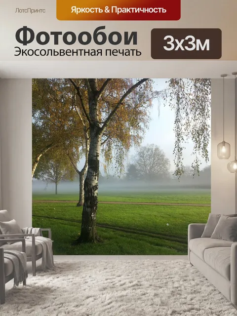 Фотообои Туман