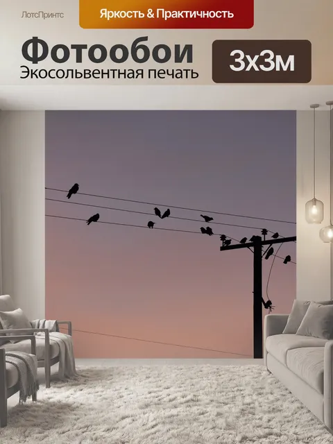 Фотообои Телеграфные провода