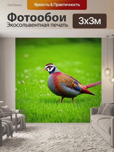 Фотообои животные в стиле минимализм с графичными образами куропатки в зелёной траве