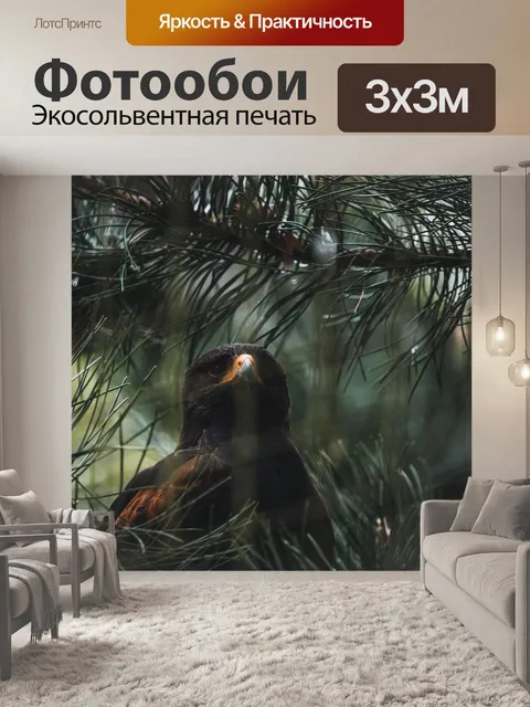 Фотообои Птица