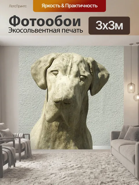 Фотообои Собака