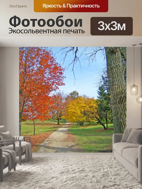 Фотообои Осень Путь