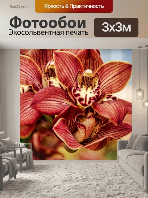 Фотообои Орхидеи