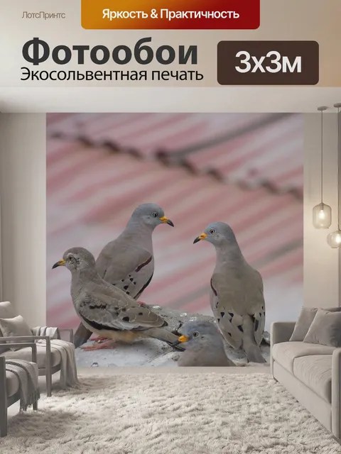 Фотообои Птицы